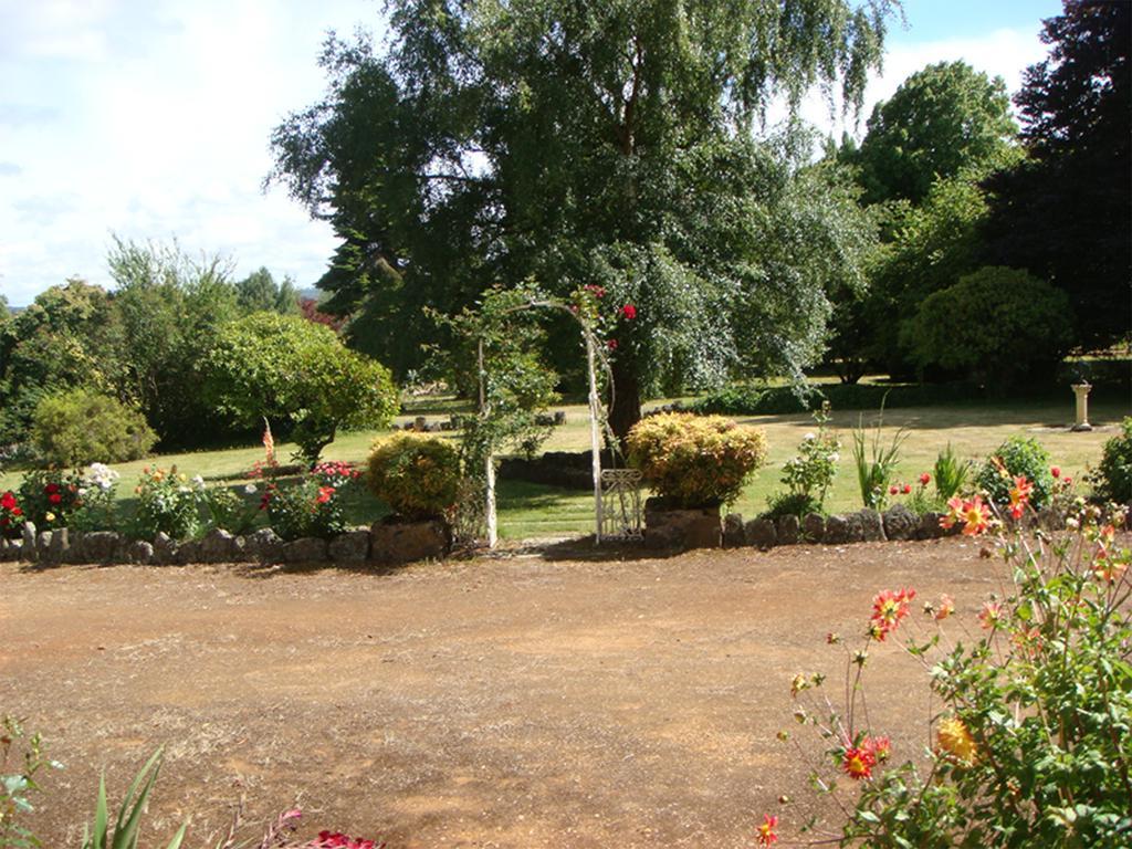 Tahara Cottage Deloraine Rom bilde