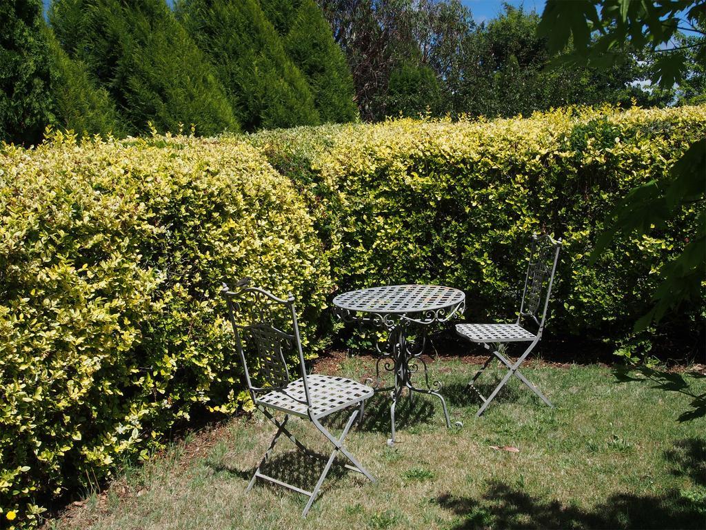 Tahara Cottage Deloraine Rom bilde